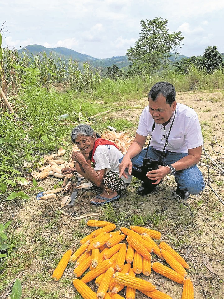 corn produce