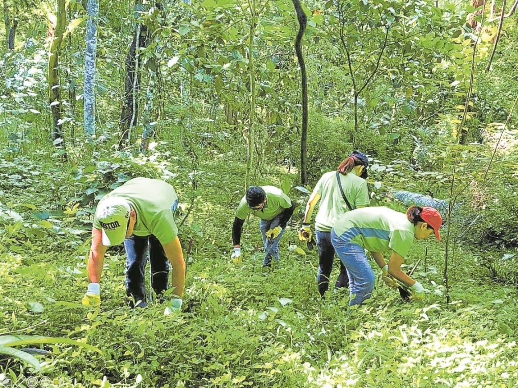forest workers
